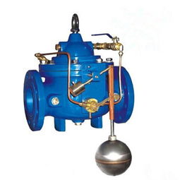 【100d定水位閥,100d價格,圖片,配件廠家】