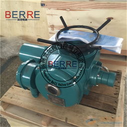 dzw10閥門電動執(zhí)行器生產(chǎn)廠家